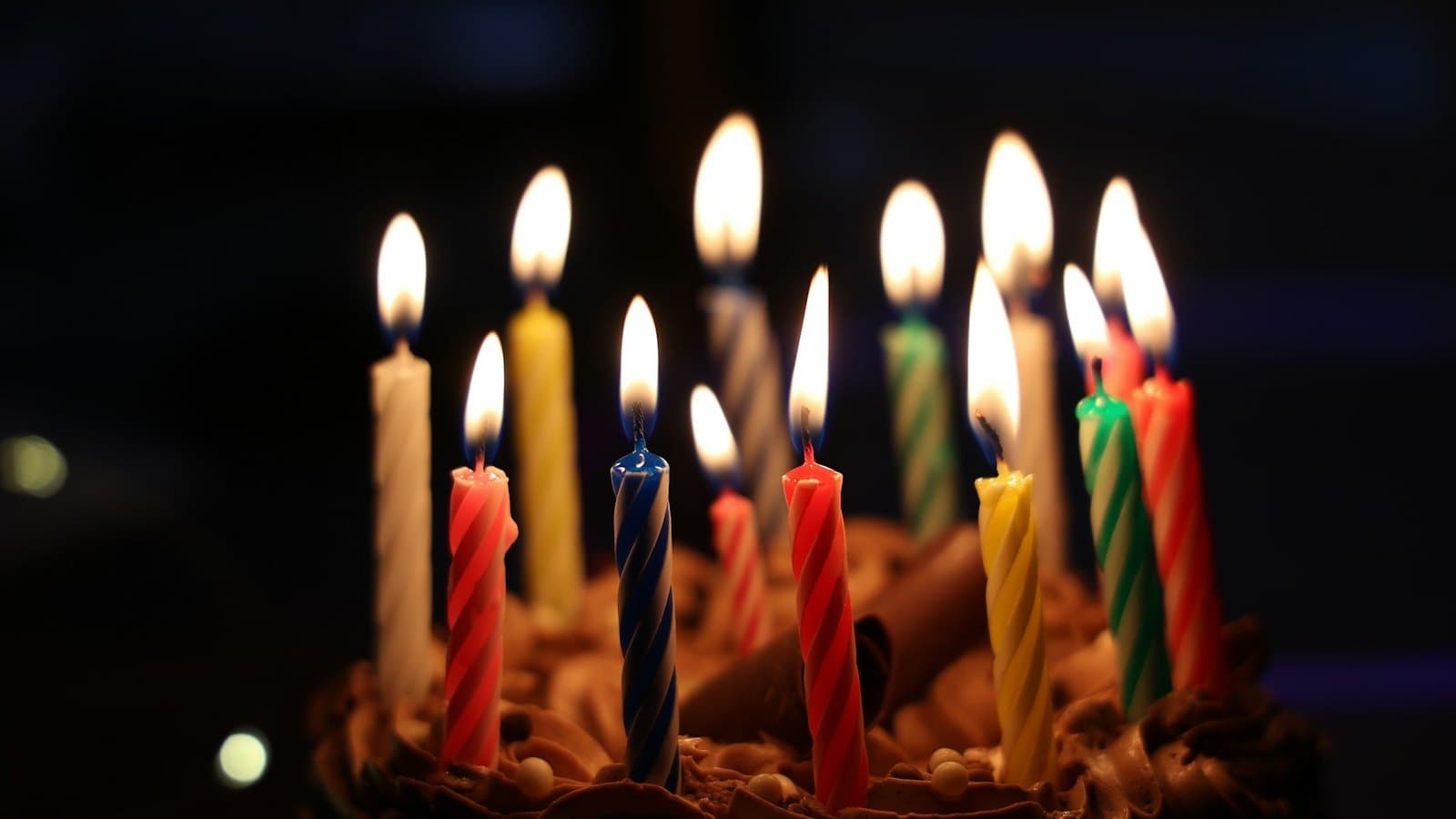 Birthday in St Petersburg: where you get a discount — Grand Maket, Petrovskaya Akvatoriya, Bushe and six more places