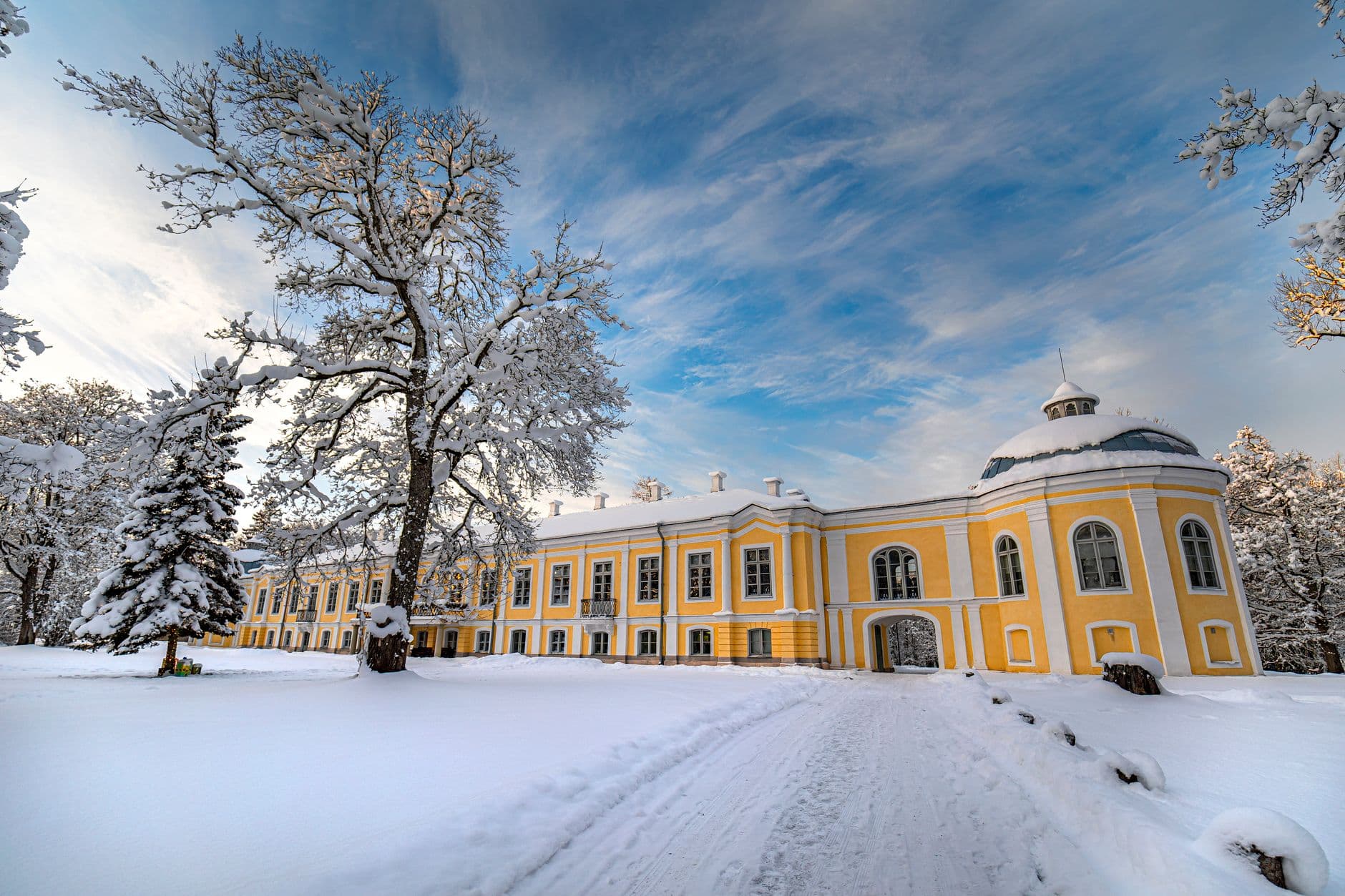 Konstantinovsky Palace in Strelna: Day Trip from Saint Petersburg