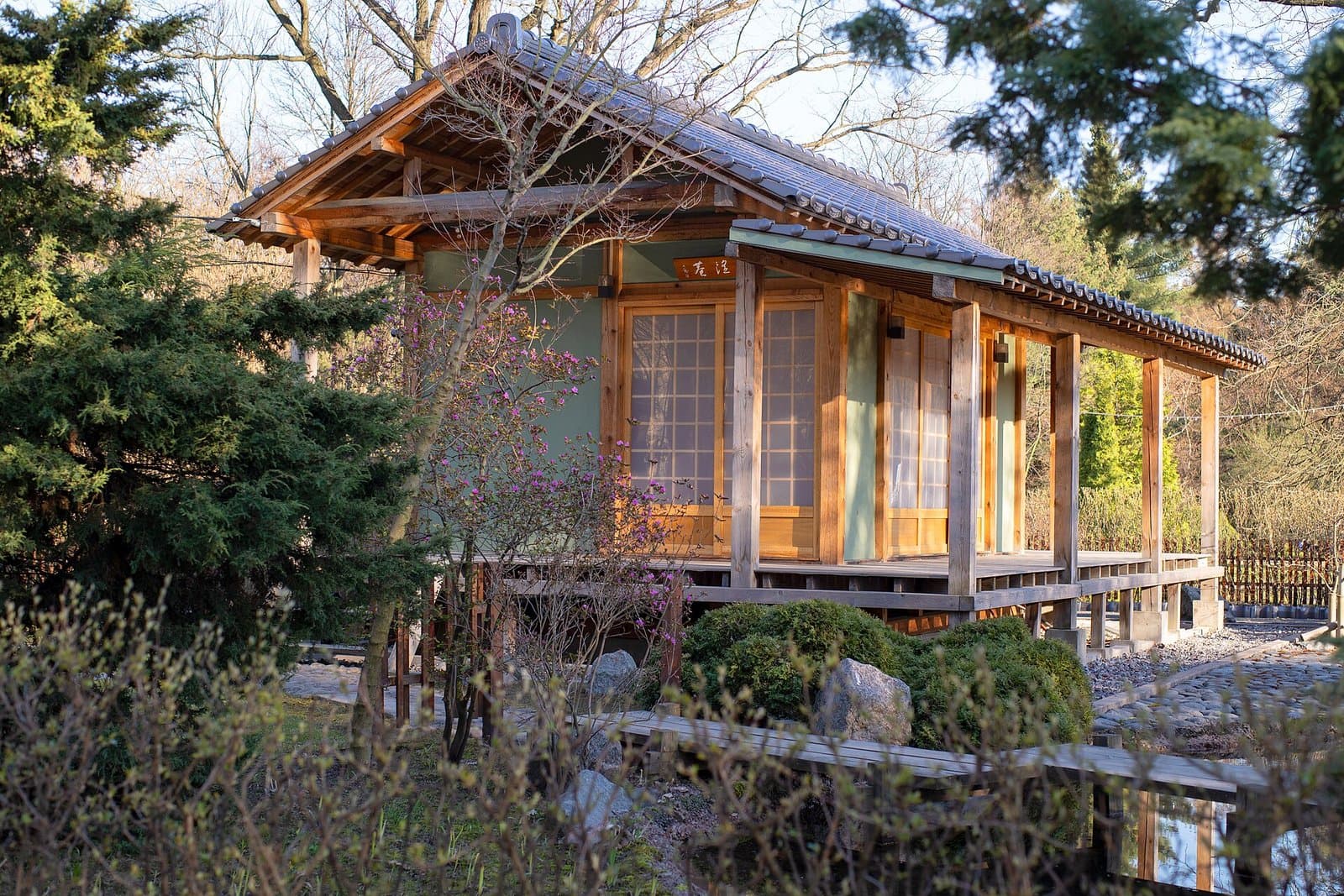 Peter the Great Botanical Garden on Aptekarsky Island: greenhouses, palms under glass and the arboretum — how to visit and when to come