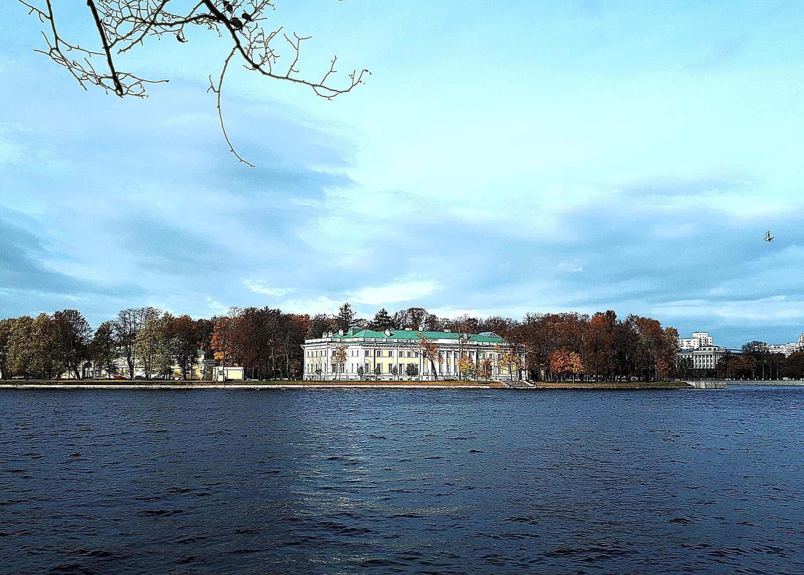 Kamenny Island in two hours: wooden dachas, the Kamennoostrovsky Palace, the Gothic church and Peter's oak — a walk between the Nevkas