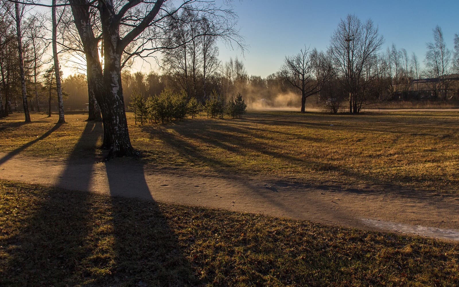Saint Petersburg Parks Without Tourists: Where Locals Actually Walk