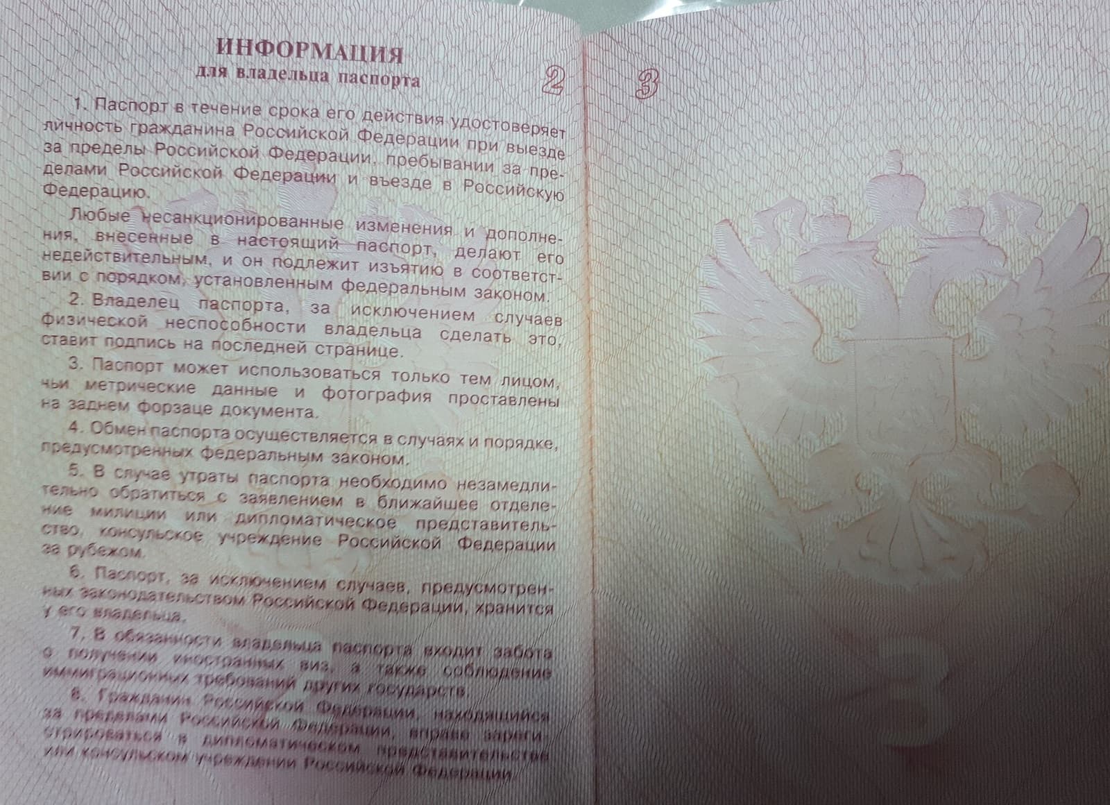 Lost Your Passport in Saint Petersburg: Where to Go, What It Costs and How to Get Home