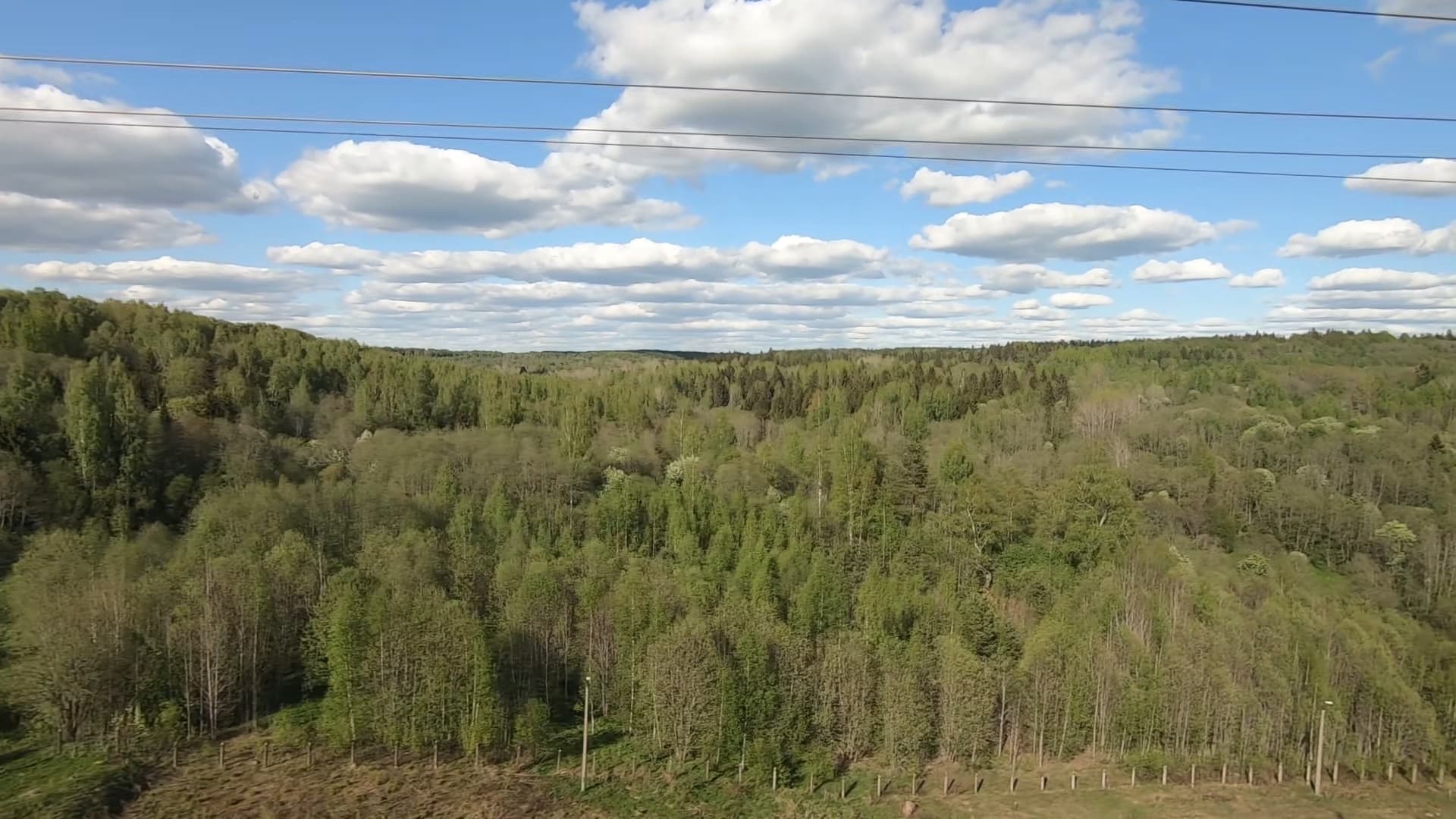 Sapsan or the Sleeper: Moscow to St Petersburg with Kids