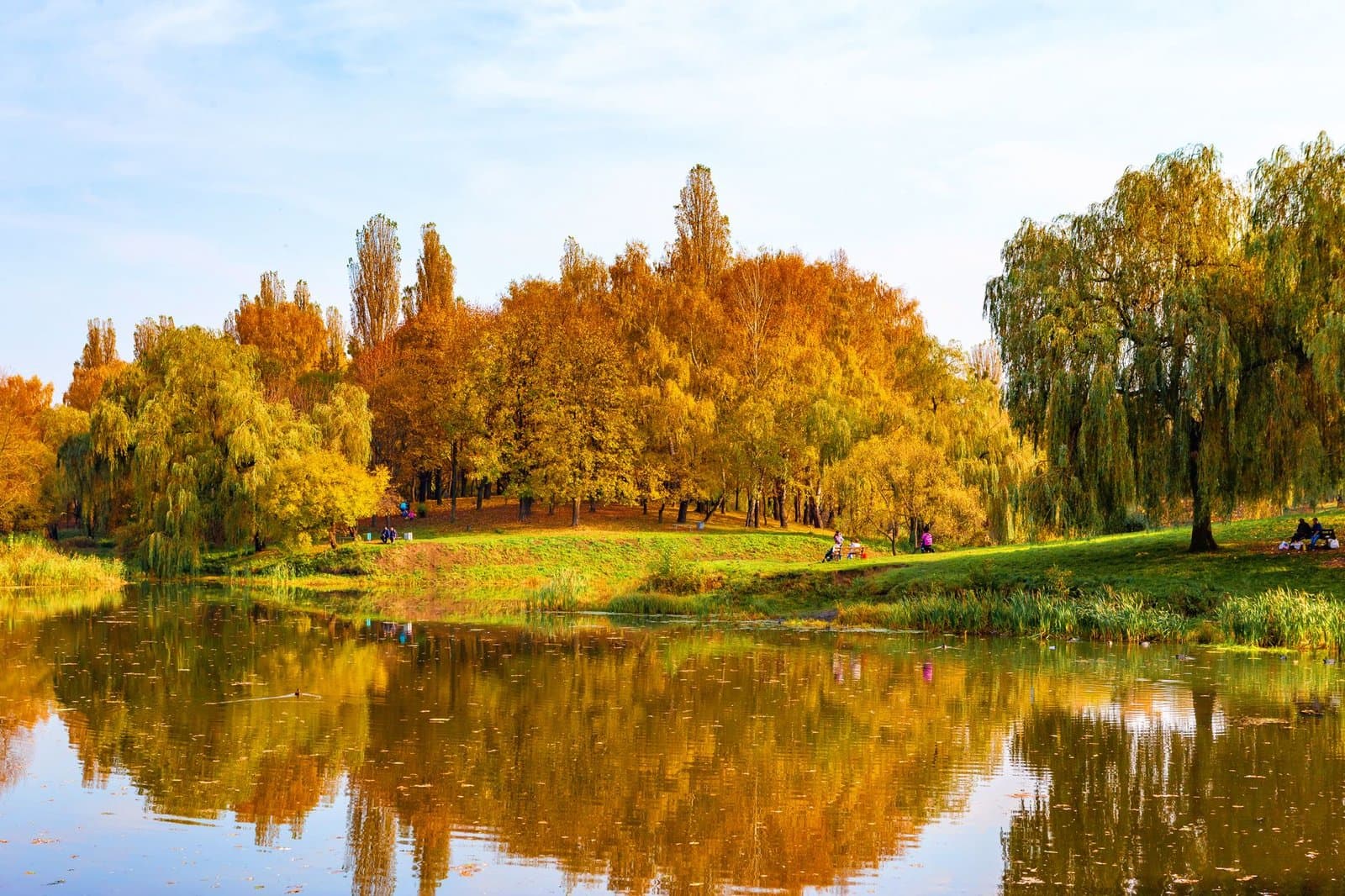 Sofia Park - Ultimate Guide to Visiting, Attractions & Tips