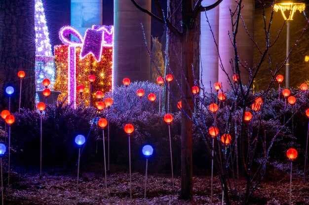 This 2026 Holiday Season in St Petersburg - Events, Lights &