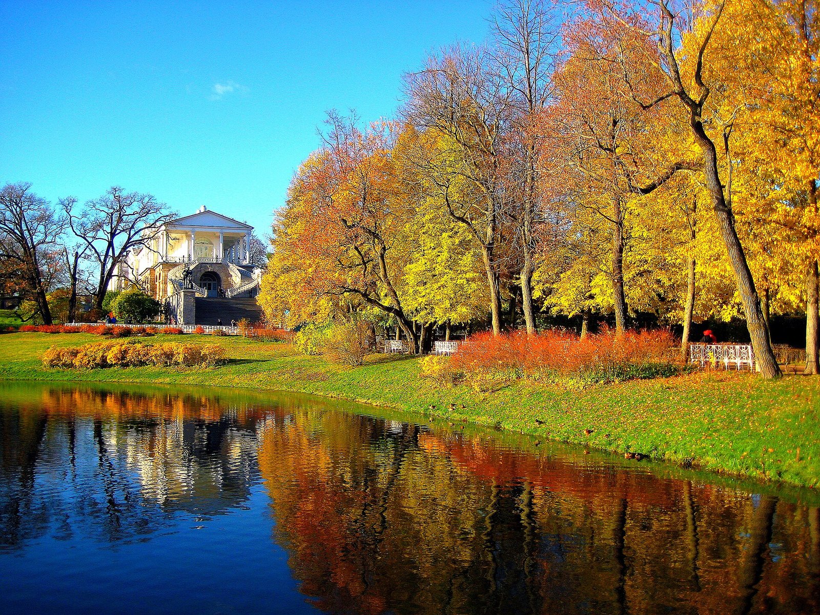 The Cameron Gallery above the Great Pond among autumn trees
