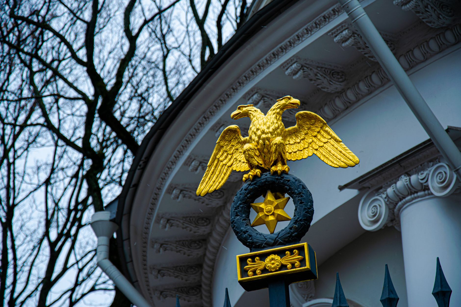 What is the Zoological Museum in St Petersburg?