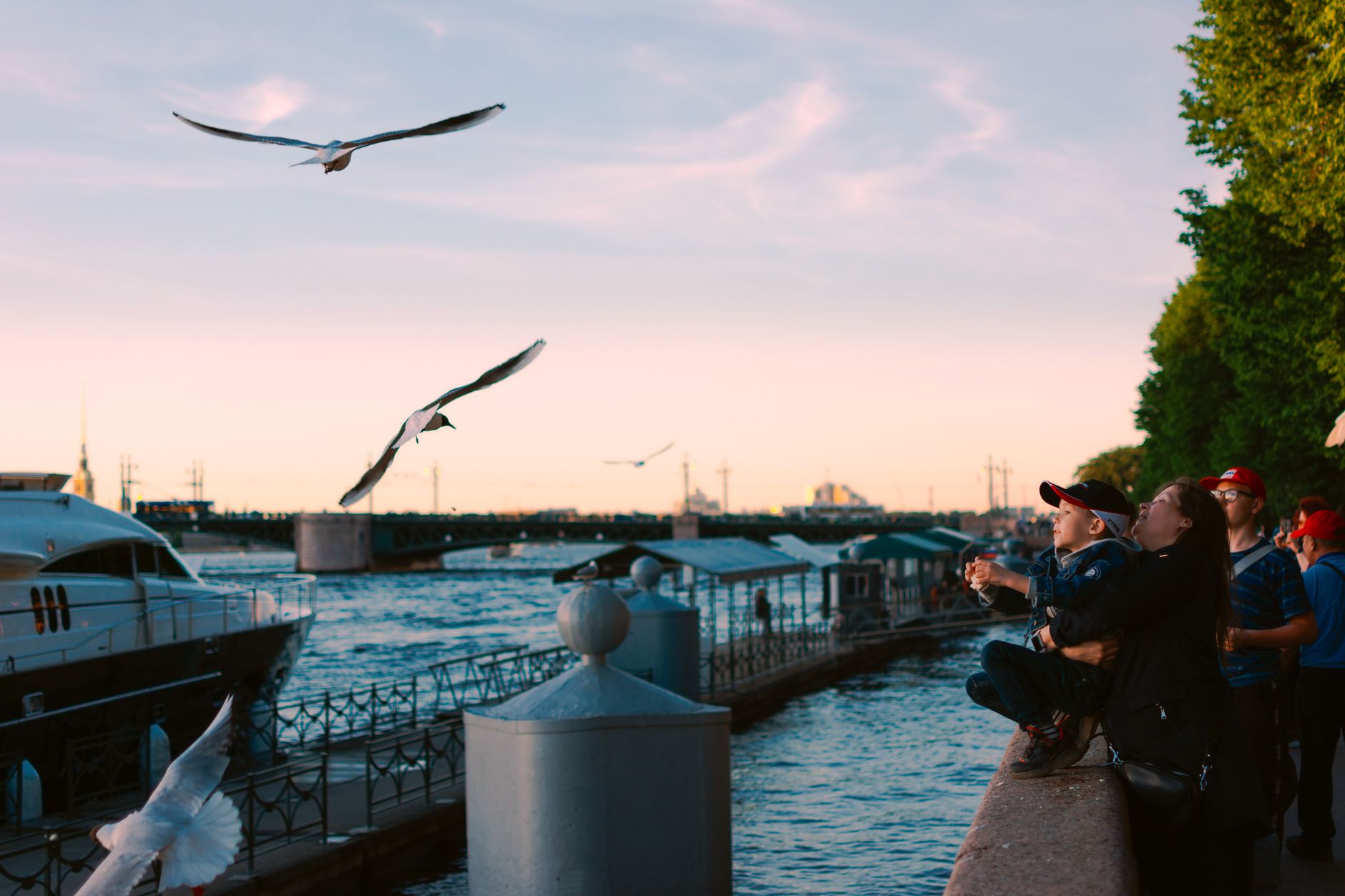 Focused, actionable sections for travelers