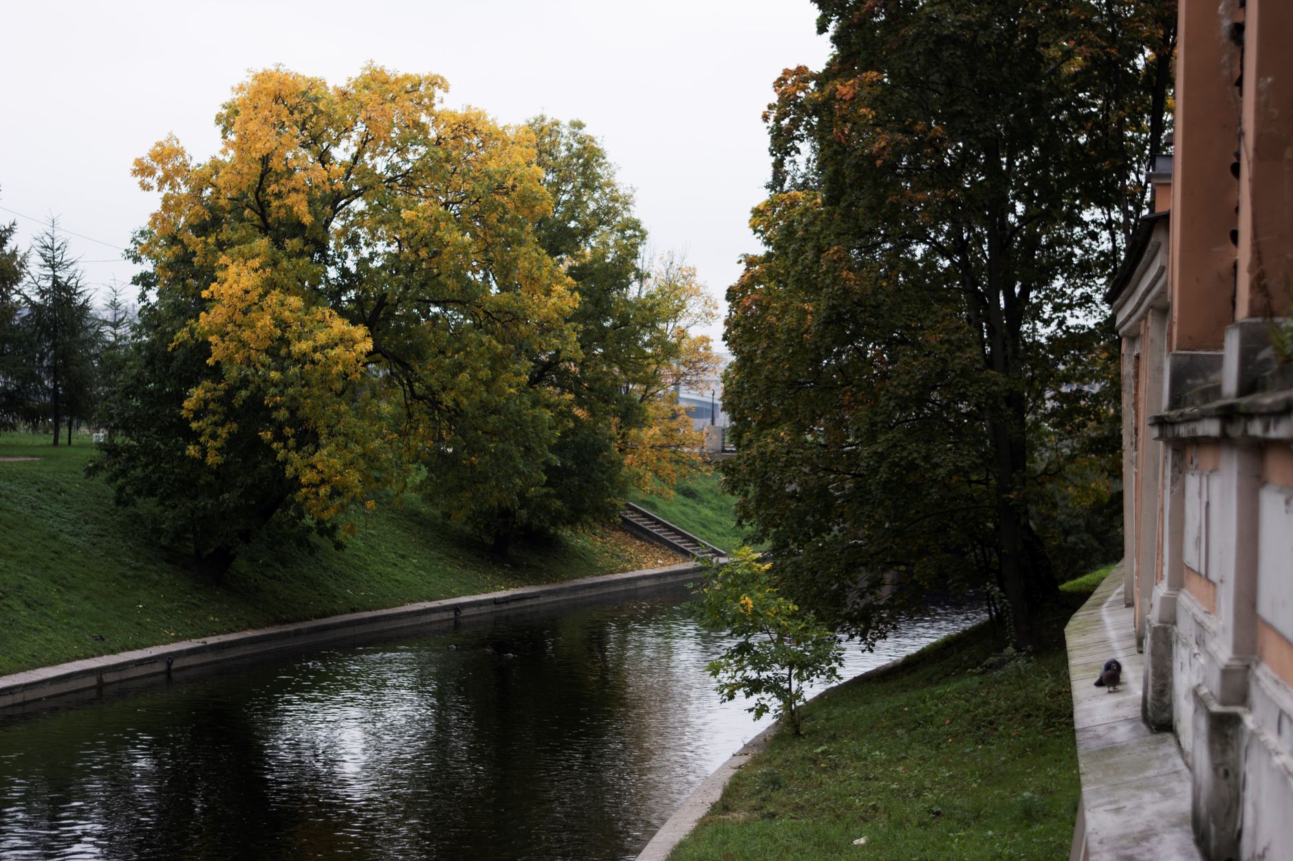 Practical itinerary and travel tips for autumn highlights in Saint Petersburg and Peterhof