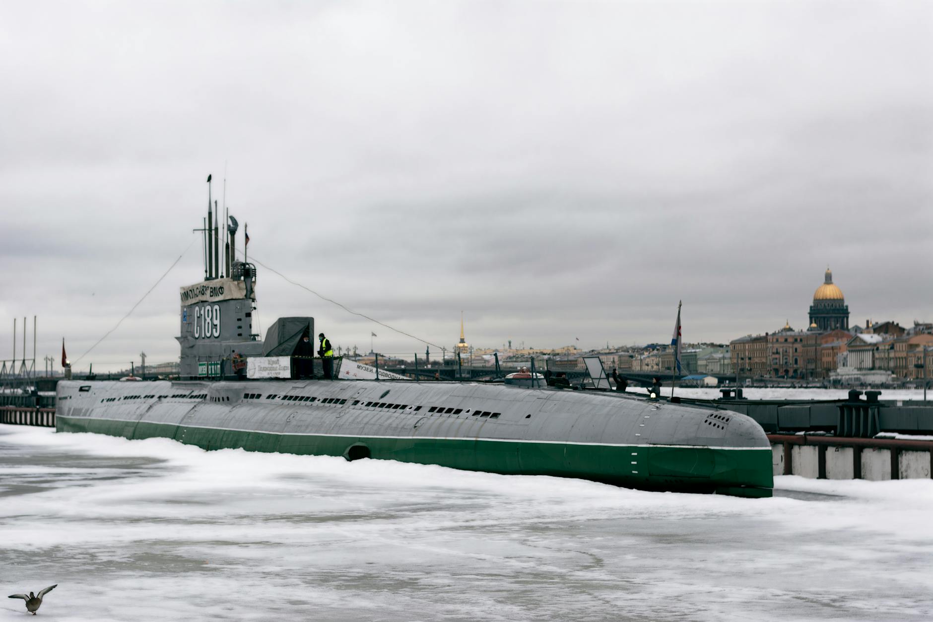 Exploring Navicula Artis and St. Petersburg's Dynamic Contemporary Landscape