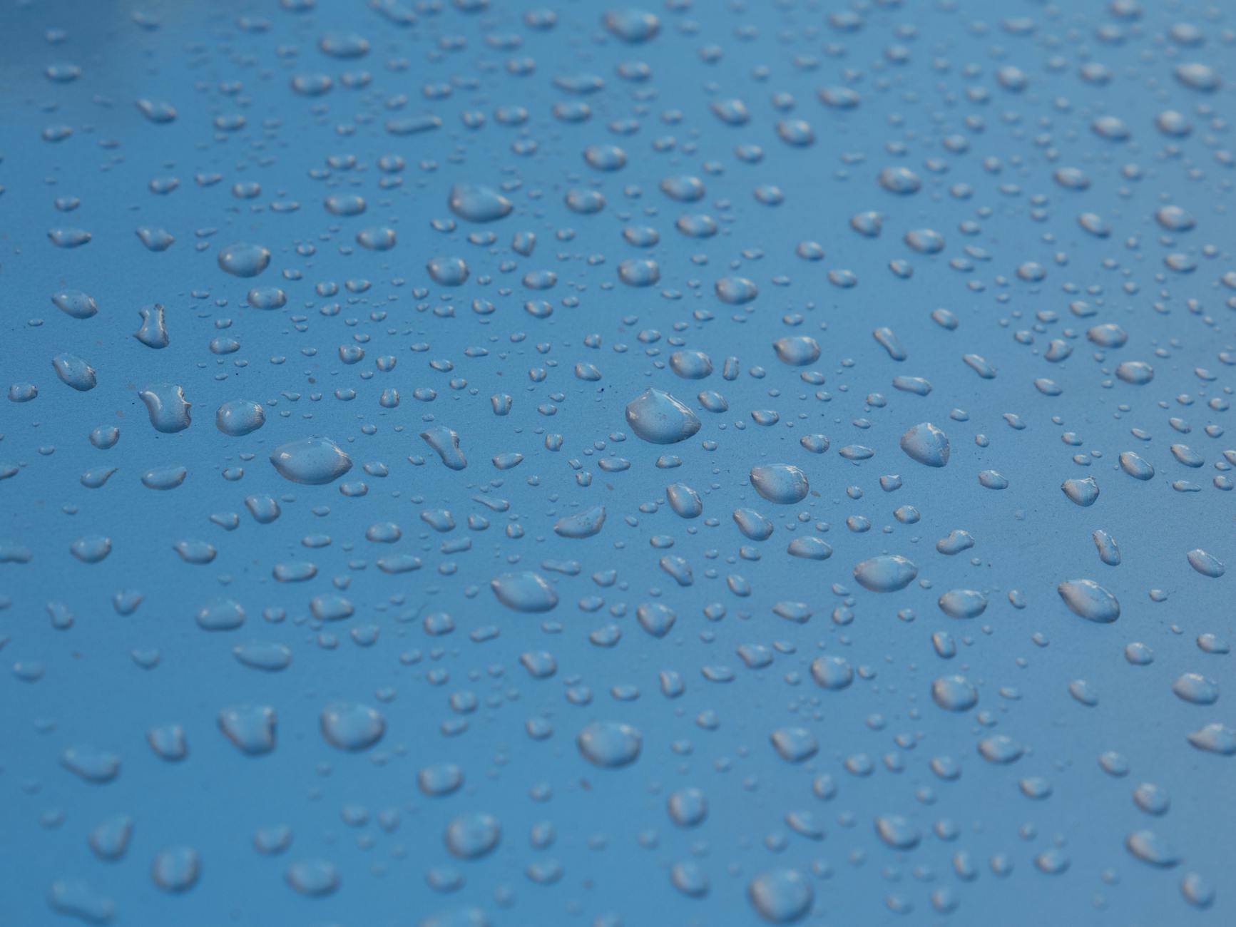 Install a rainwater collection system to keep plants hydrated during dry spells