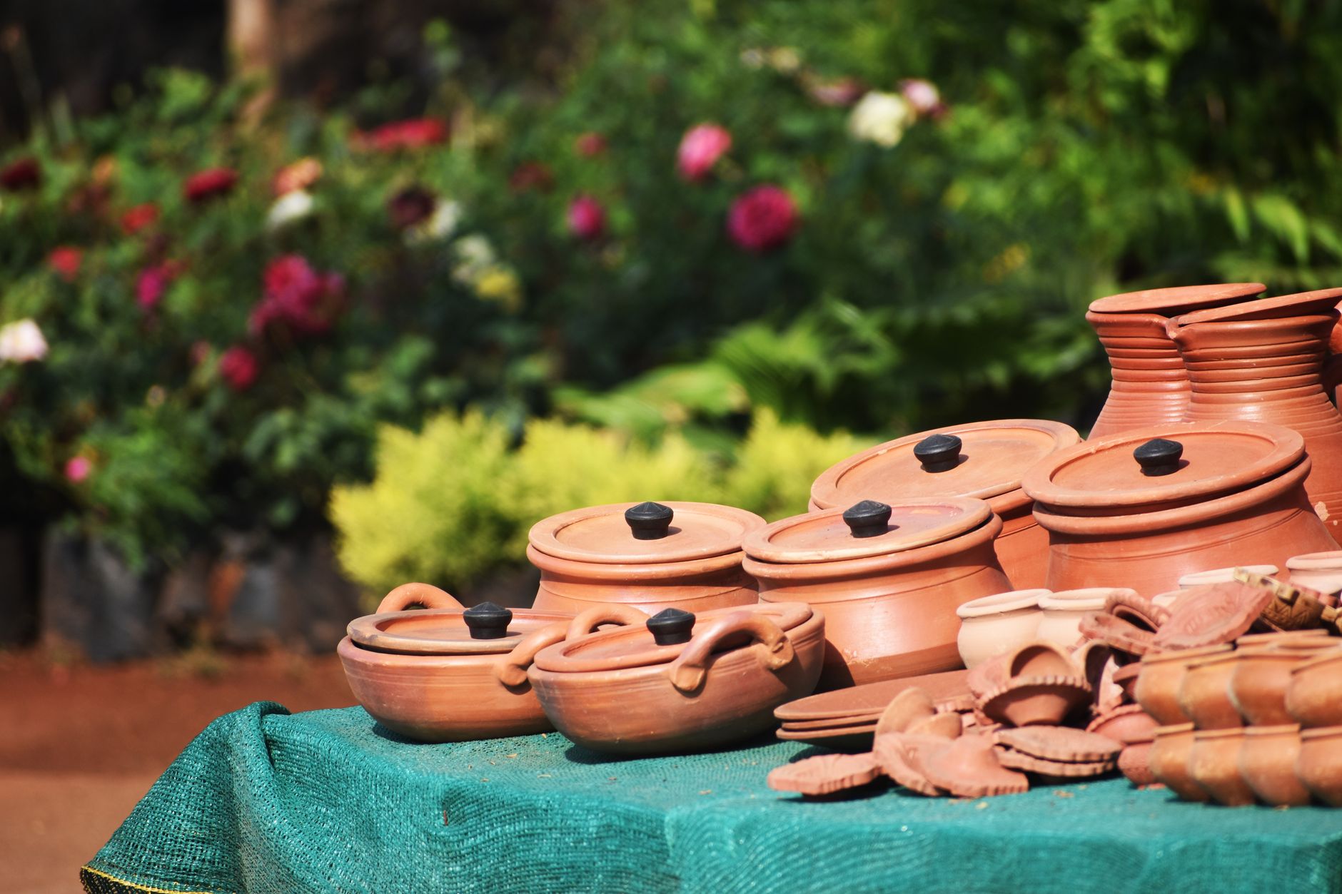 Use terracotta pots and blue accents for a coastal vibe