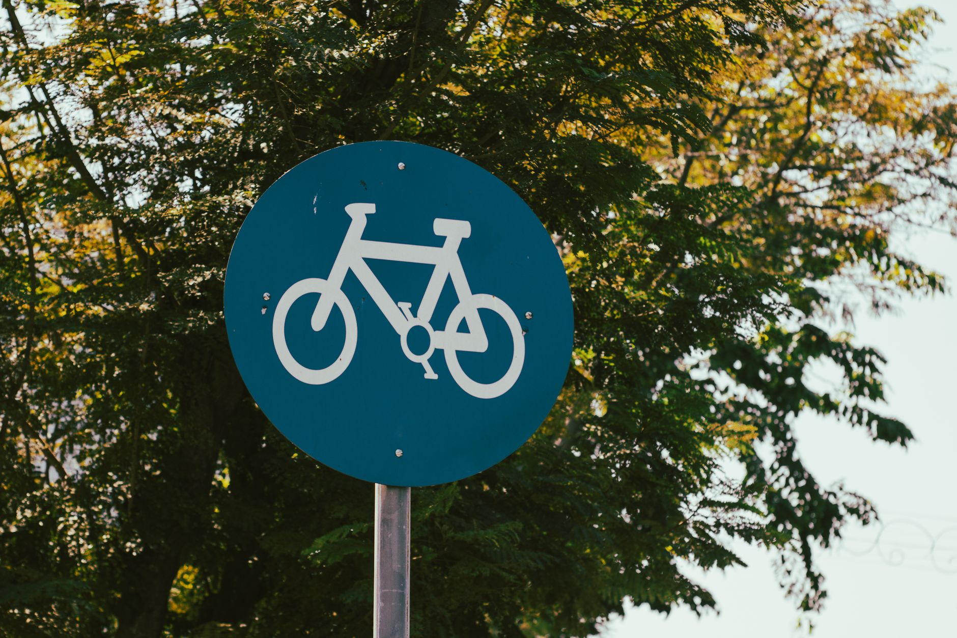 Where Can Beginners Cycle Safely in Saint Petersburg?