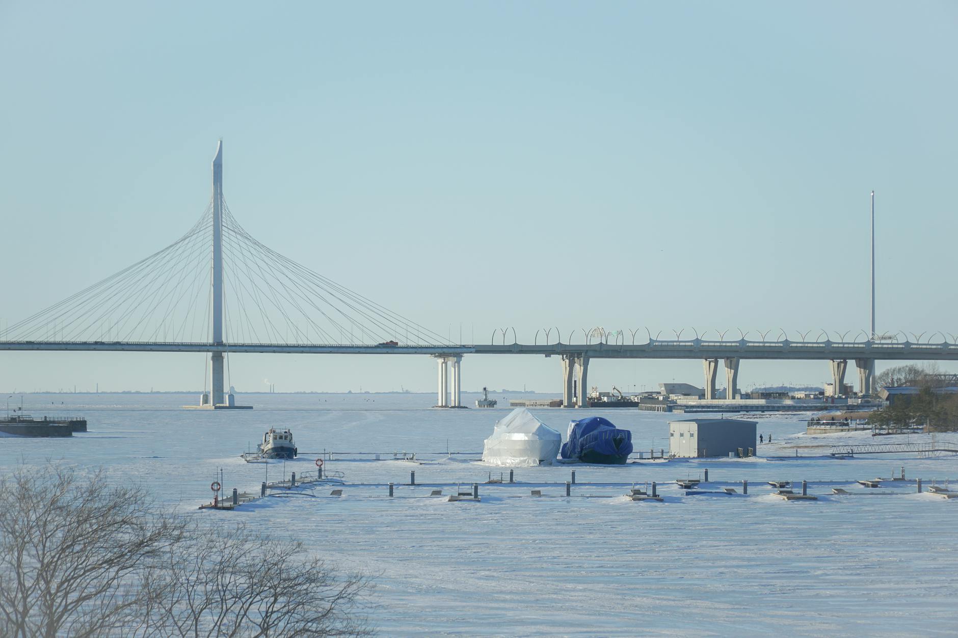 Winter Wonders: A Science-Inspired Museums Guide