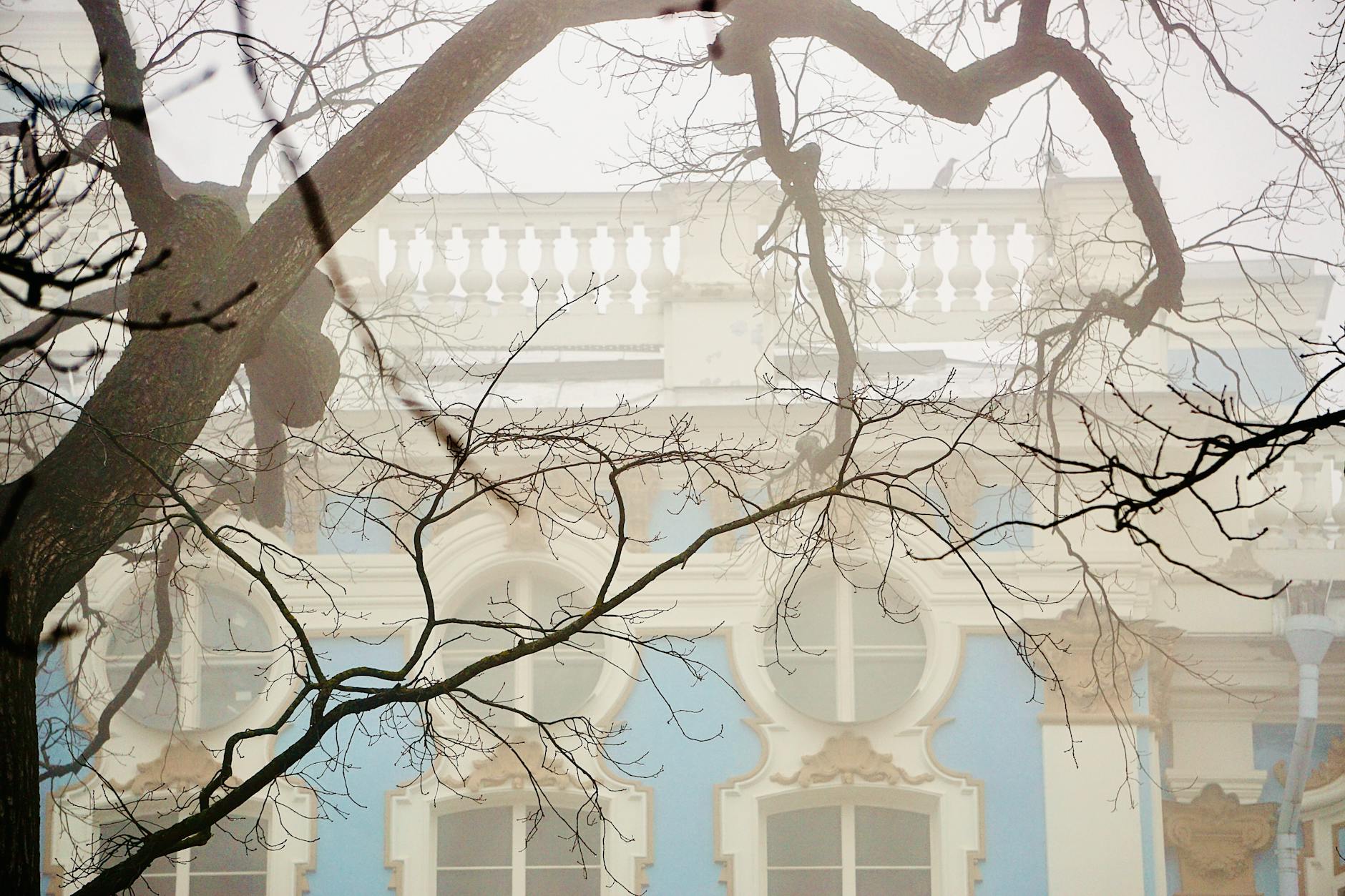 Cultural Evenings: Museums, Ballet, and Jazz Clubs