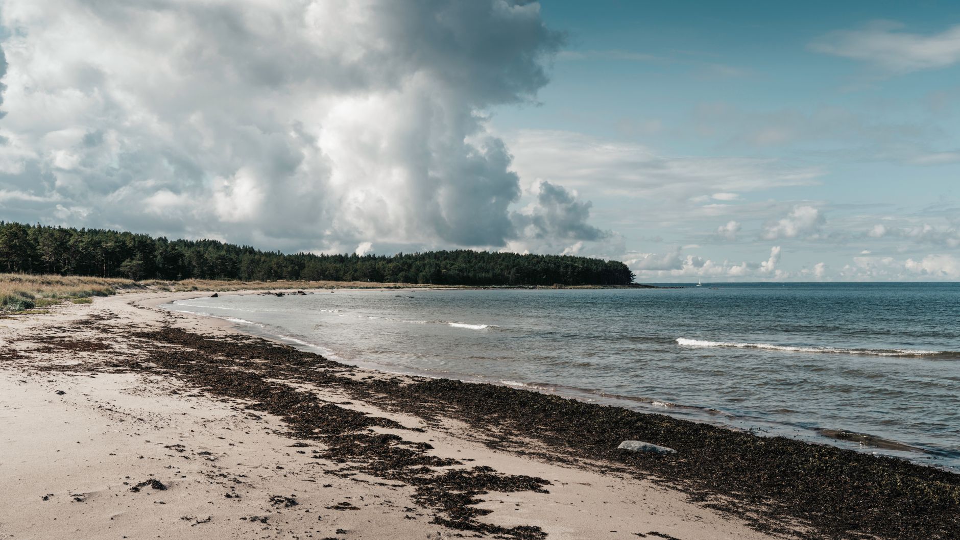 What are the best beaches near Saint Petersburg on the Gulf of Finland?