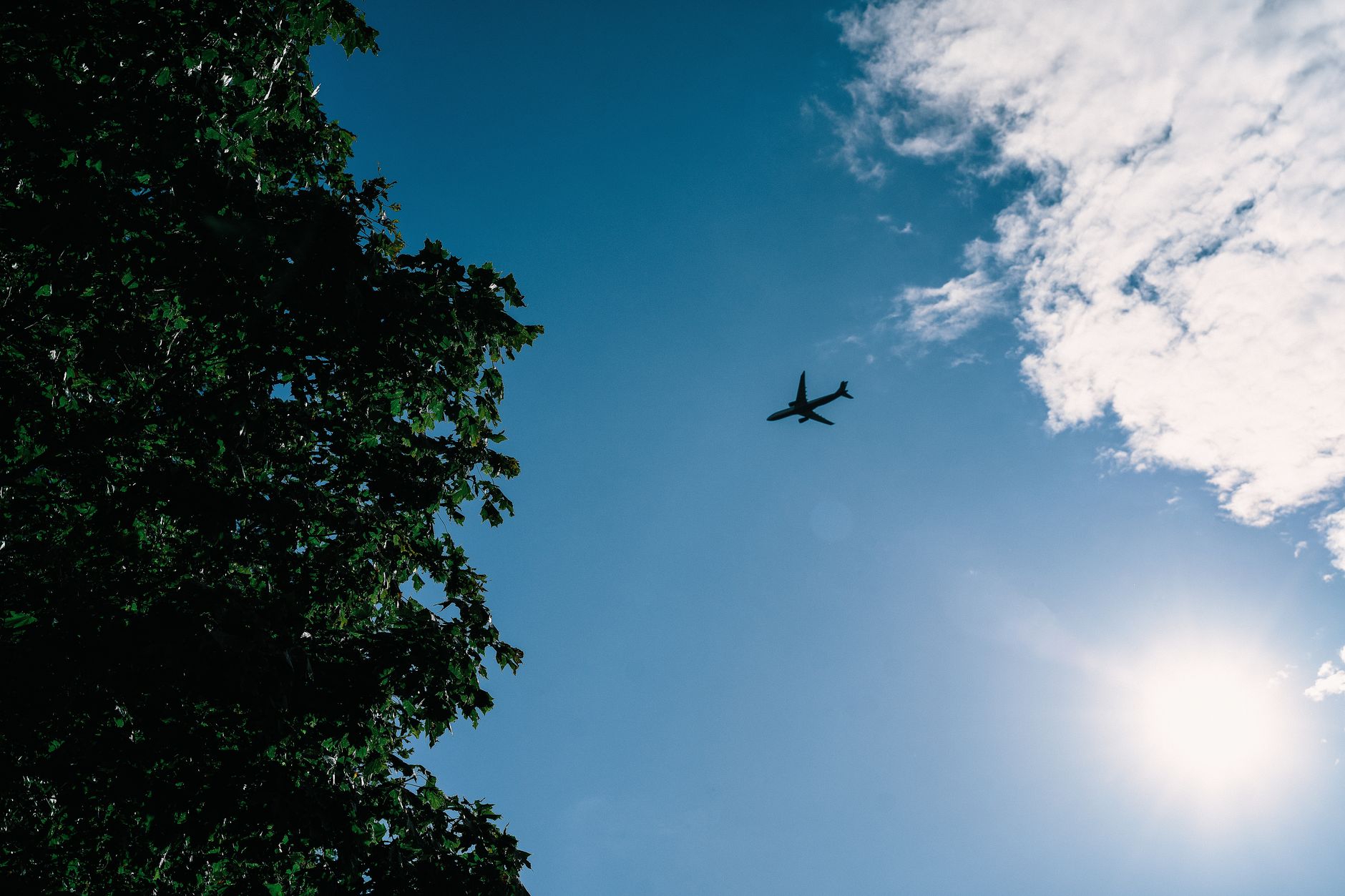 Which airlines fly directly to Saint Petersburg from Istanbul, Belgrade and Dubai?