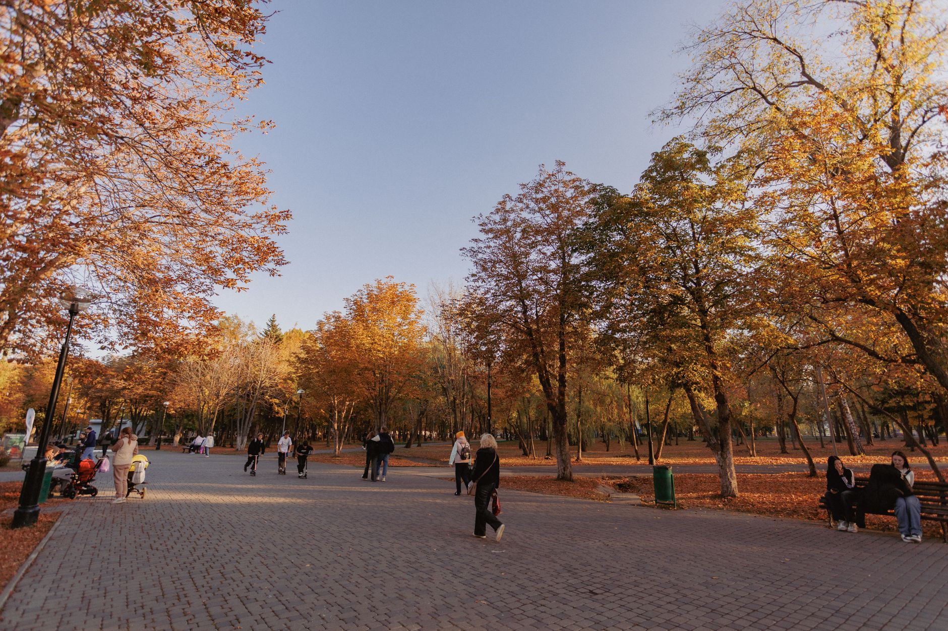 September Through November: Autumn Colors and Cultural Season
