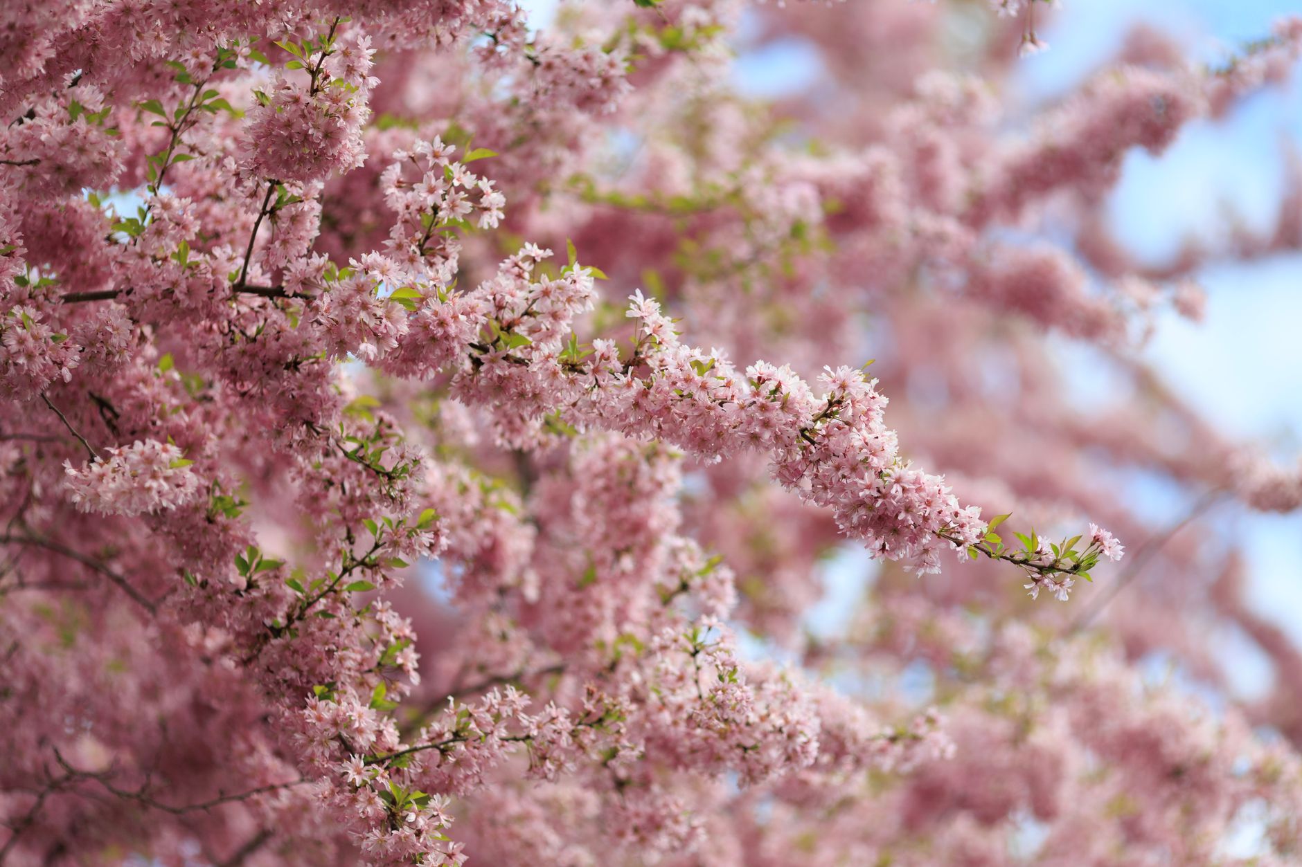 April and May: Spring Awakening and Shoulder Season Benefits