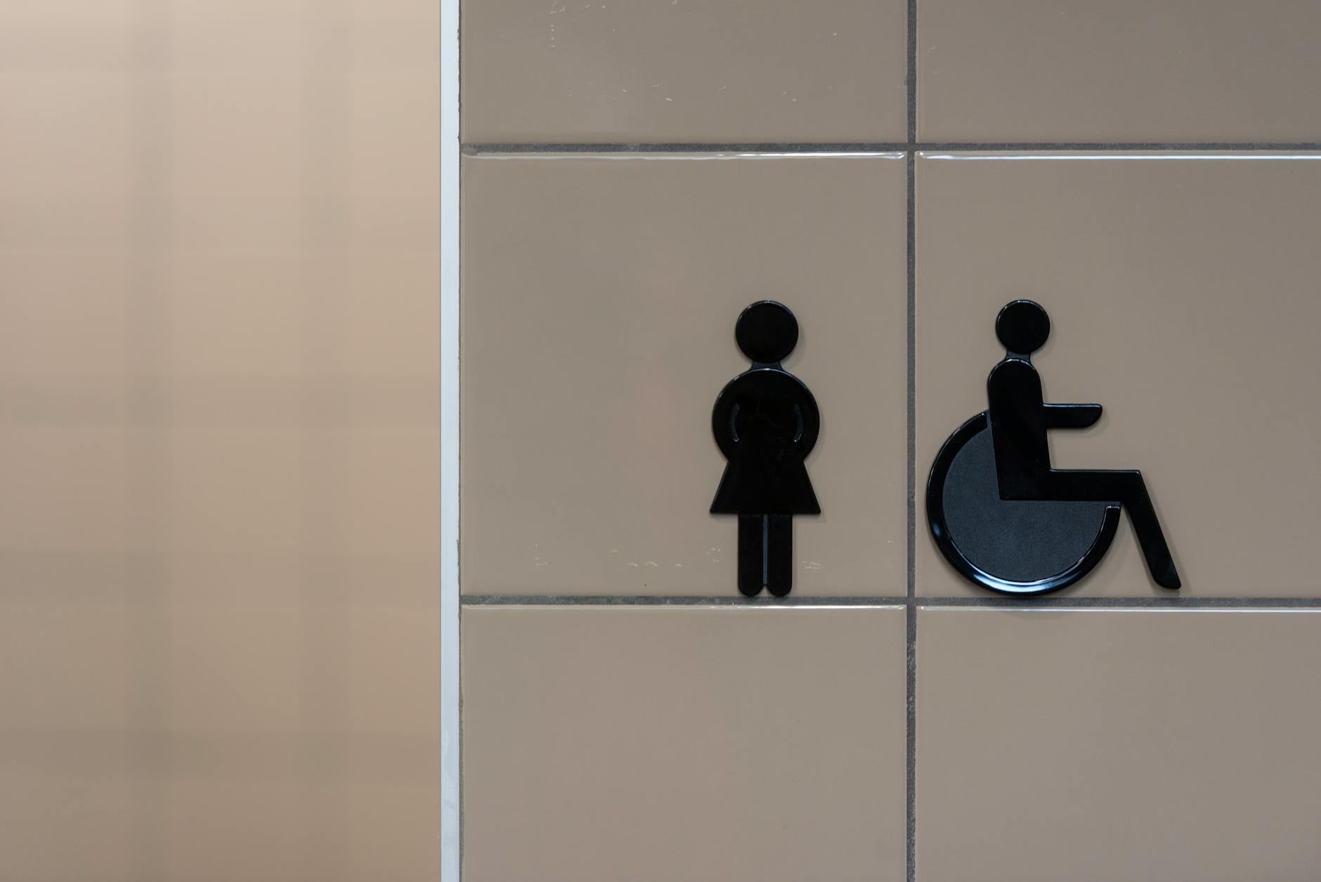 Accessibility, Facilities, and Visitor Services