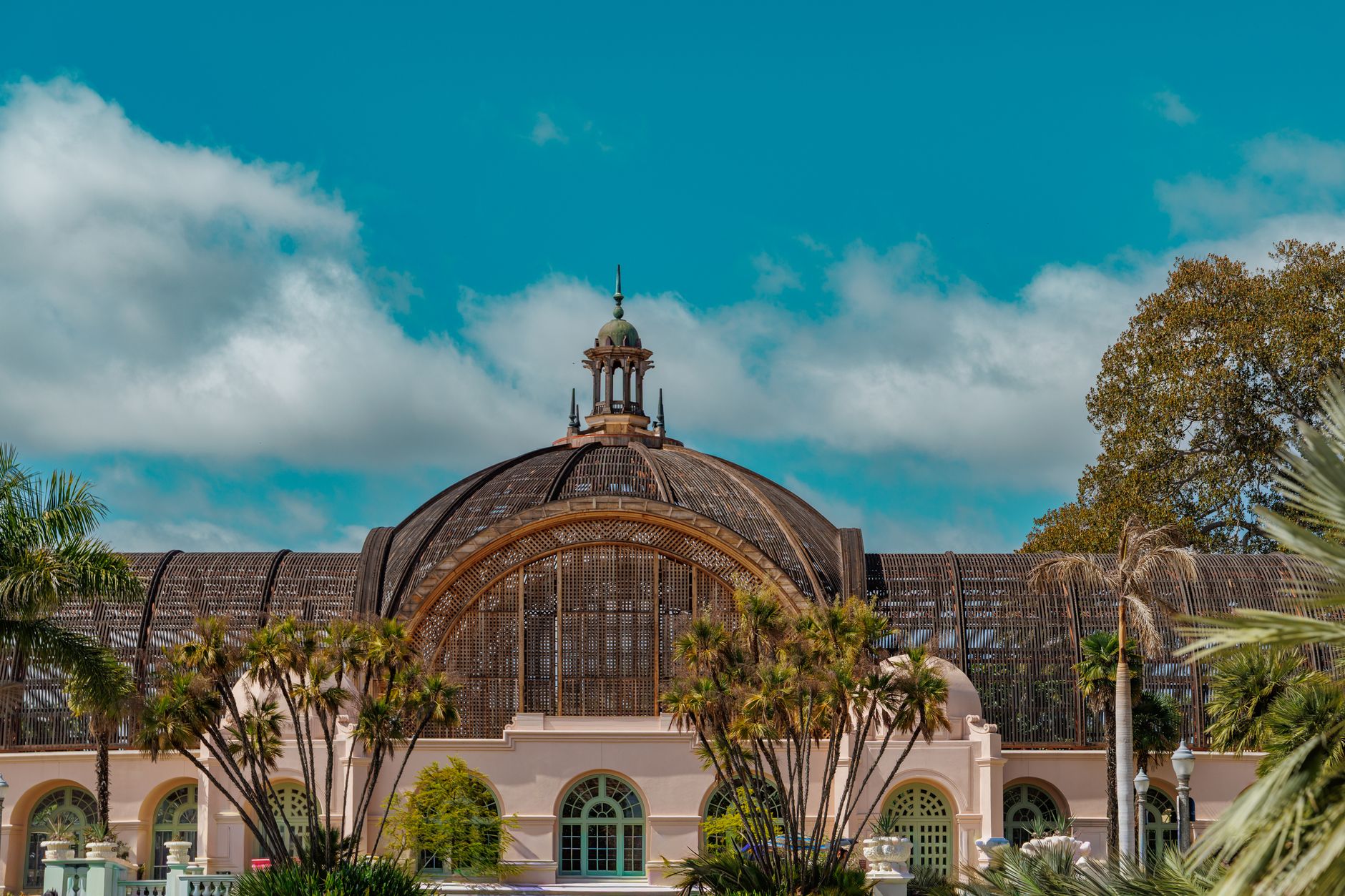 The Historic Greenhouse Complex and Tropical Collections