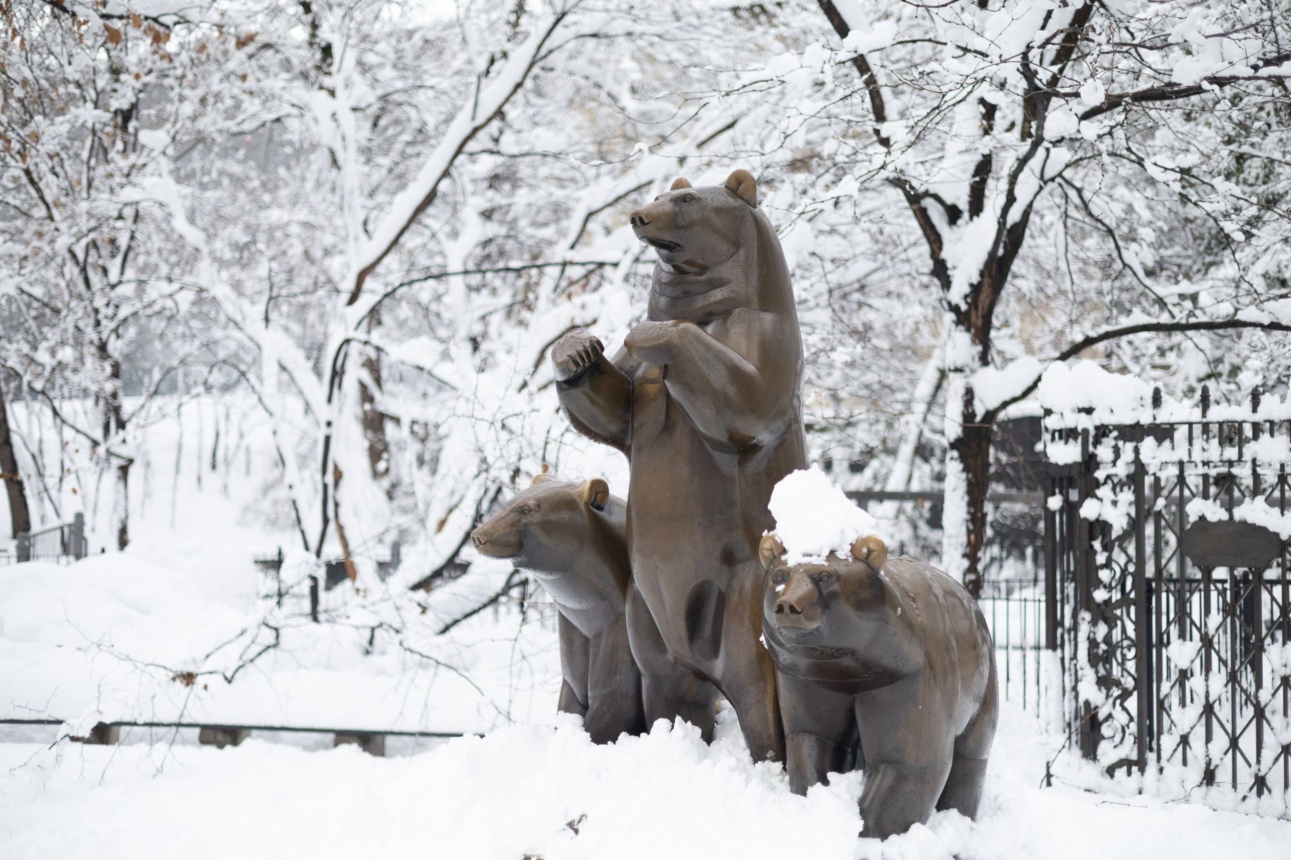Animal Collection and Notable Residents