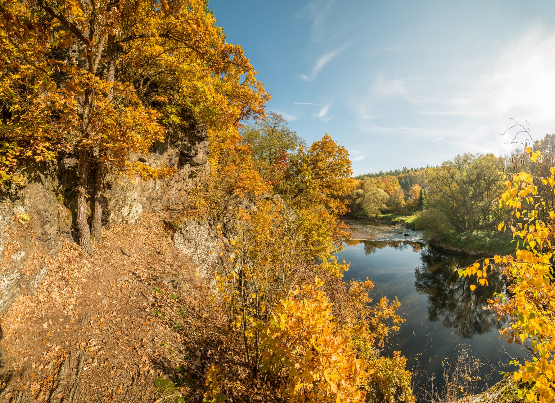 Парк Монрепо