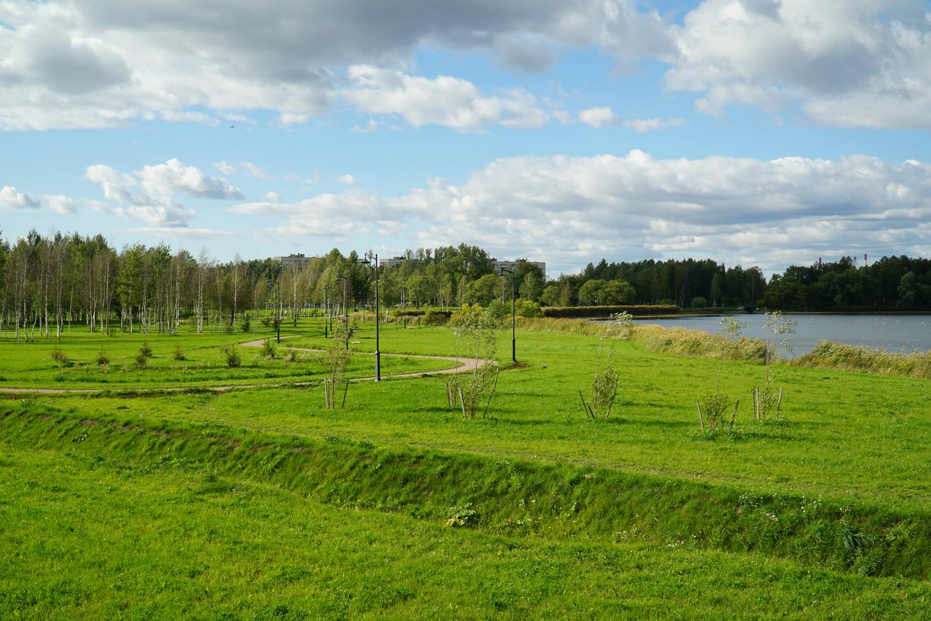 How to Integrate Green Infrastructure for Climate Resilience in Dense Areas