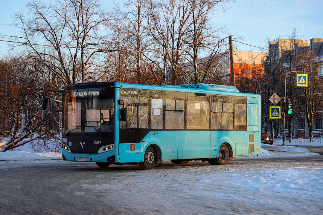 Which buses connect Pulkovo Airport to the metro network?
