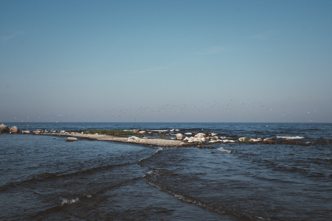 Combining it with the rest of the coast
