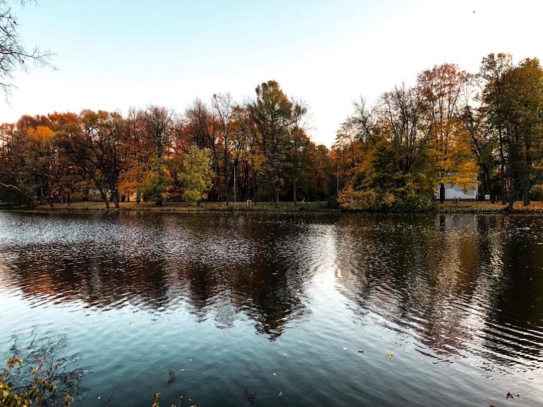 Dubki Park
