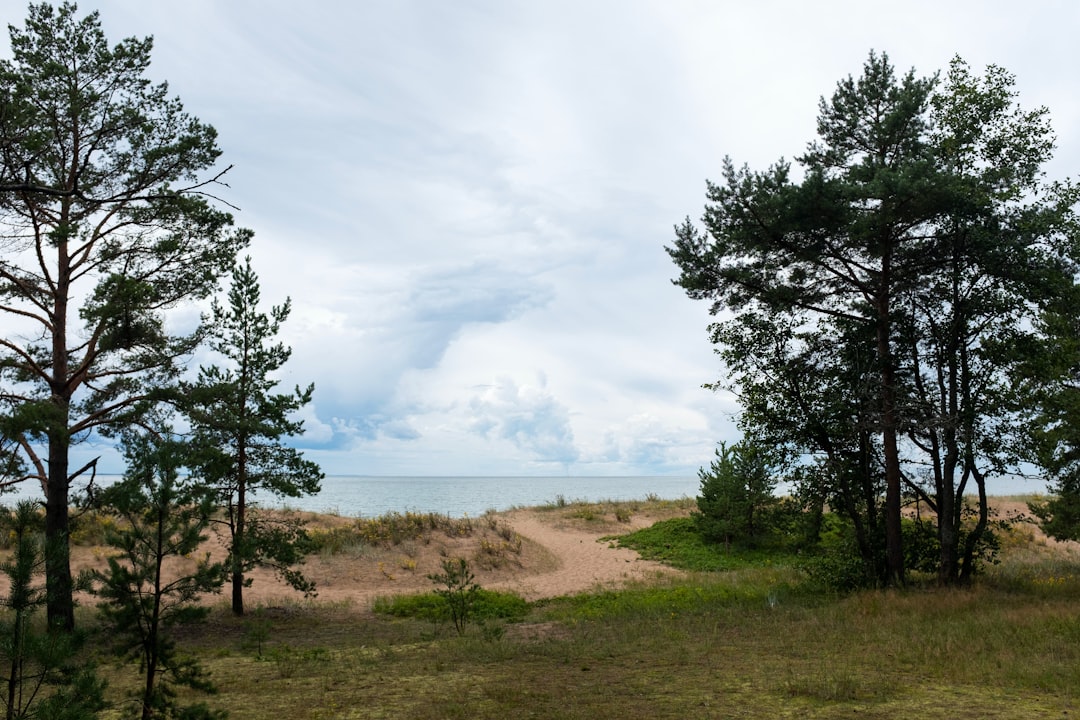 Sanatoriums and the resort coast