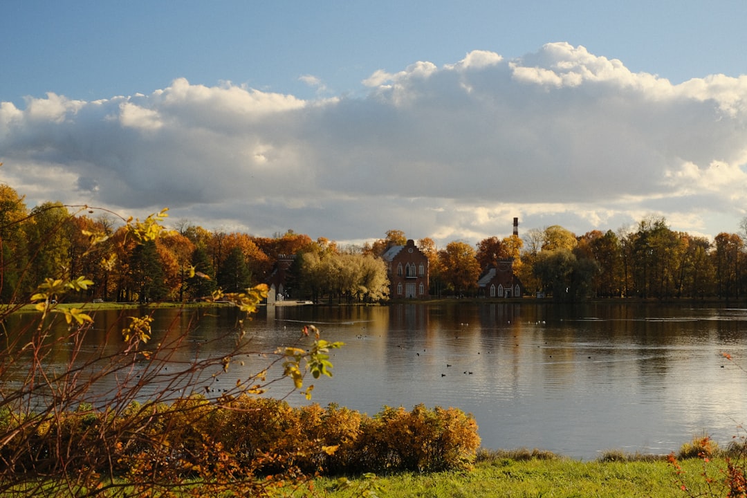 Best Time of Day for a Local Walk on Vasilyevsky Island
