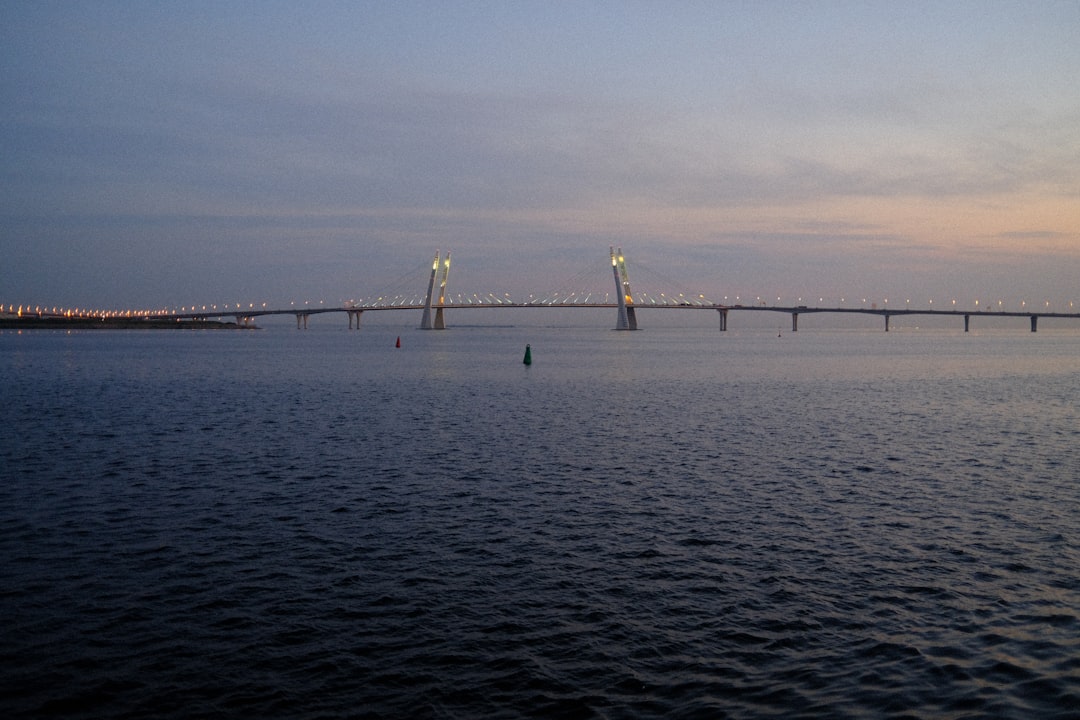 The Anichkov Bridge in wartime