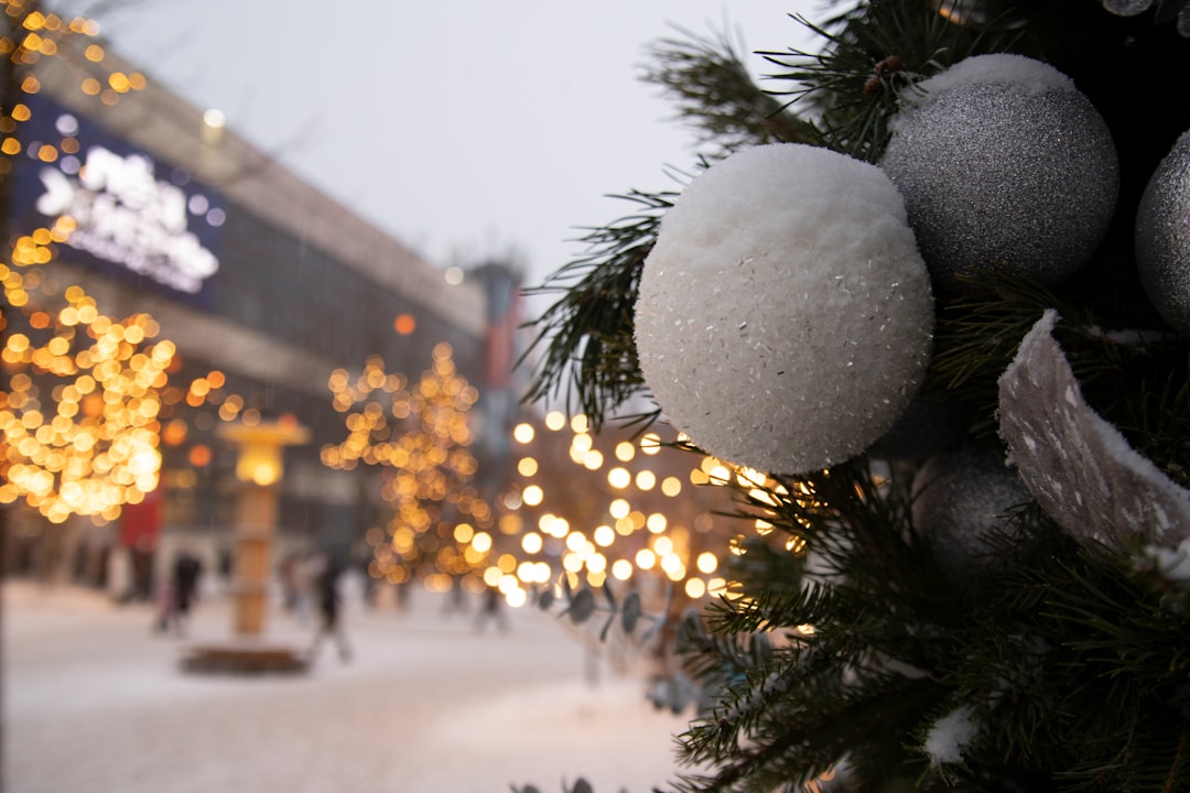 Seasonal Experiences Throughout the Year