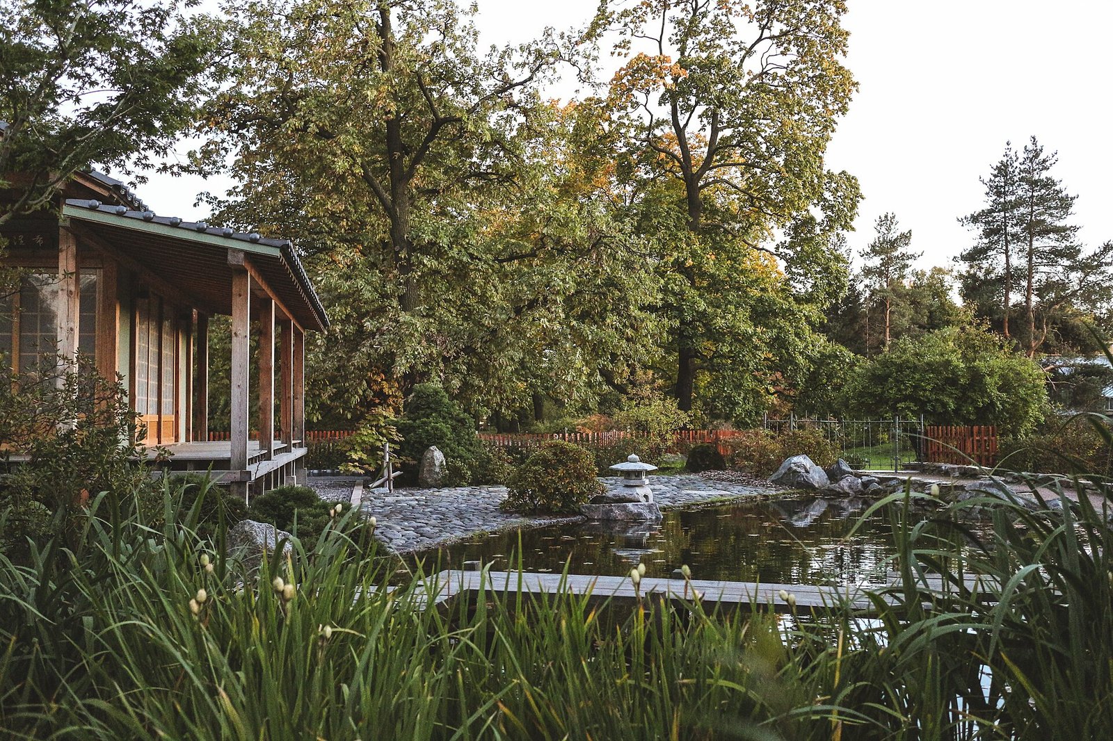 Aquatic greenhouse