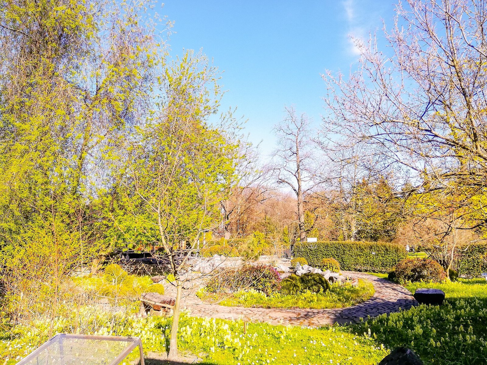 Botanical Museum