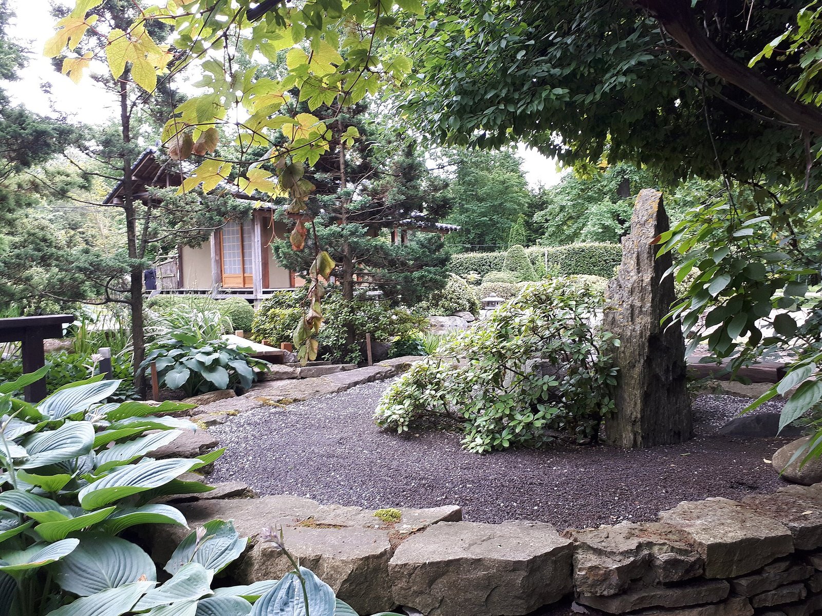 Cactus house