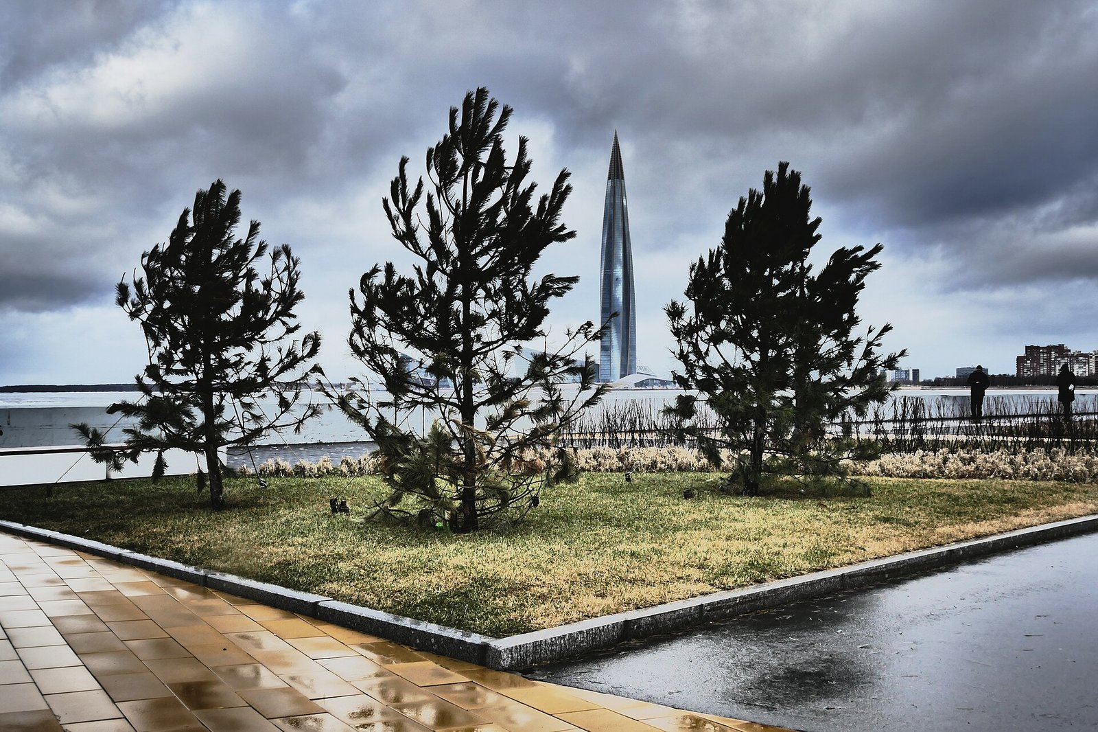 Alley in Primorsky Victory Park