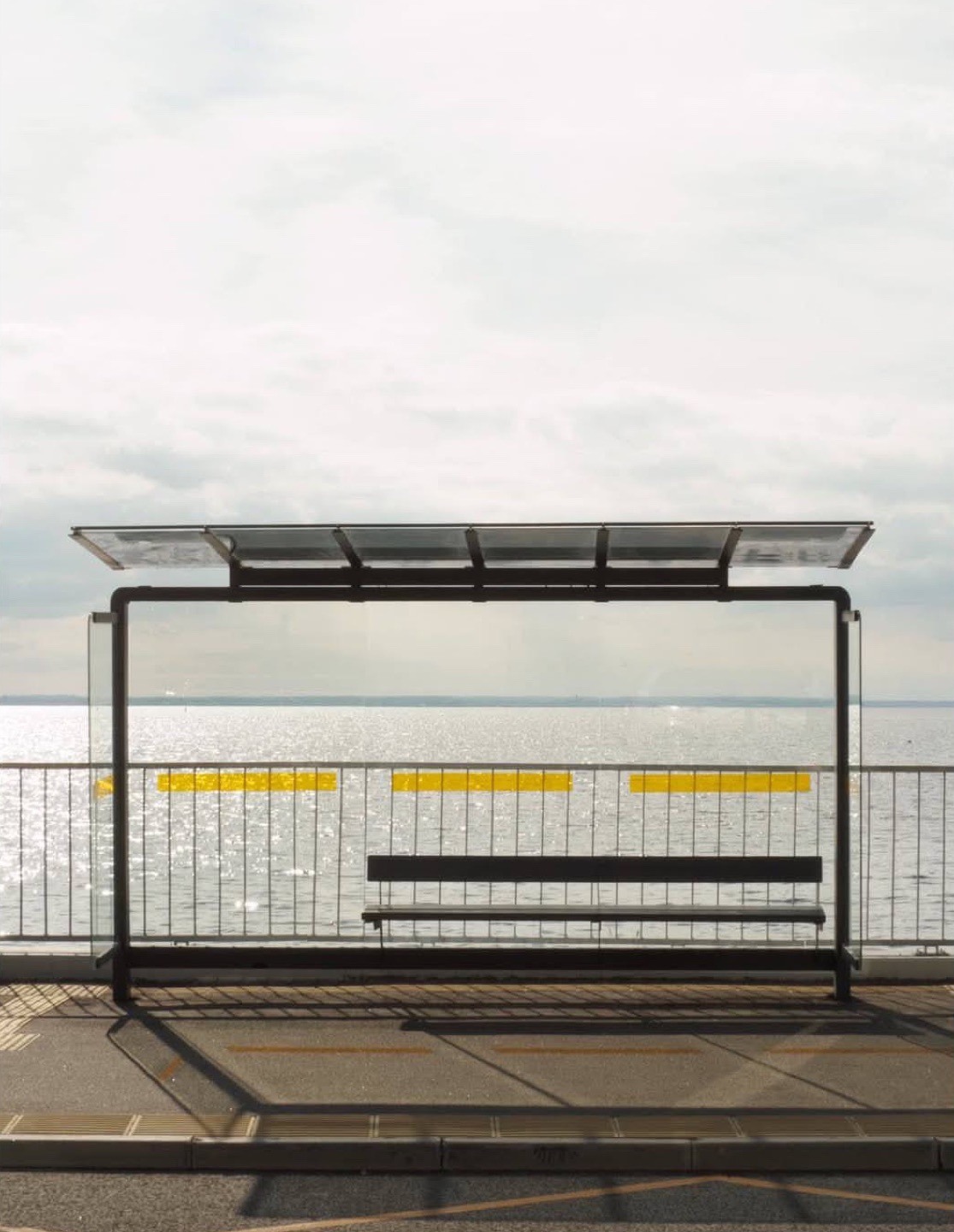 Glass bus shelter on Miklukho-Maklaya Embankment: black frame, a bench, and behind the transparent wall a railing with yellow markers and the Gulf of Finland to the horizon