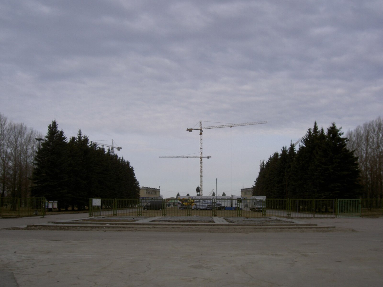 The bowl